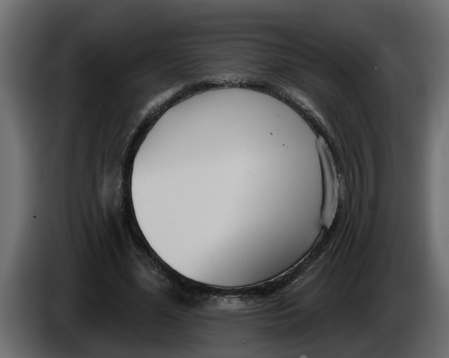 X0000083590588200703021847