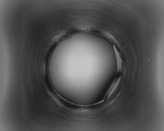 X0000083590589200703021847
