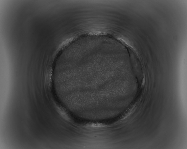 X0000083590590200703021847