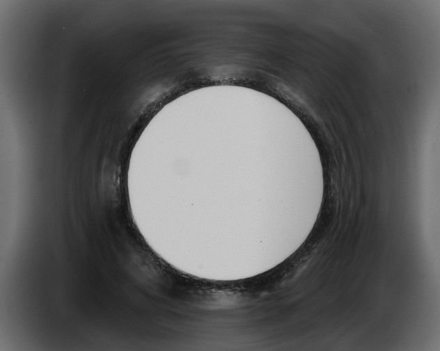 X0000083590592200703021847