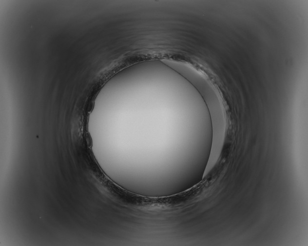 X0000083590593200703021847
