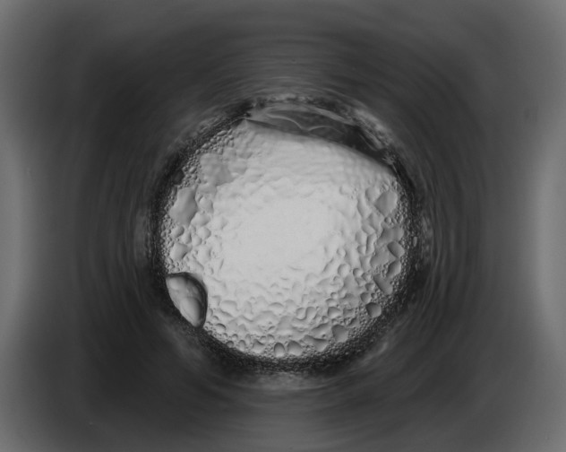 X0000083590594200703021847
