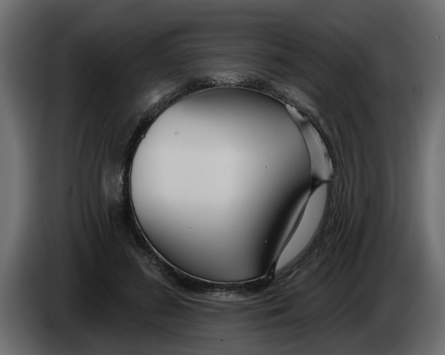X0000083590596200703021847