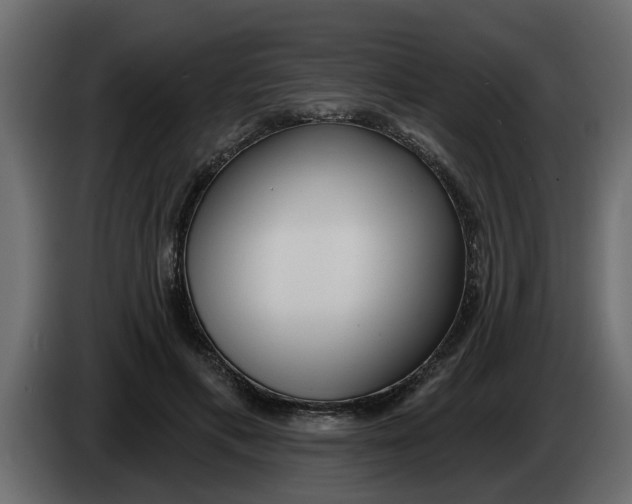 X0000083590597200703021847
