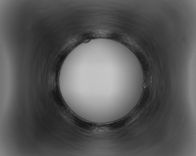 X0000083590599200703021847