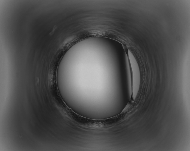 X0000083590600200703021847