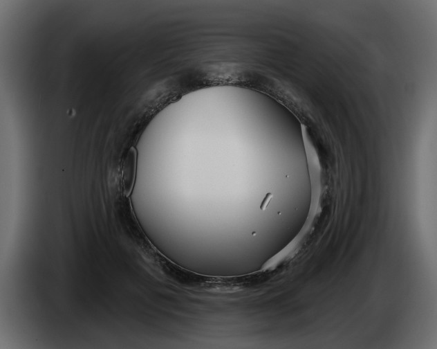 X0000083590601200703021847