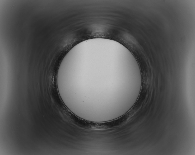 X0000083590603200703021847