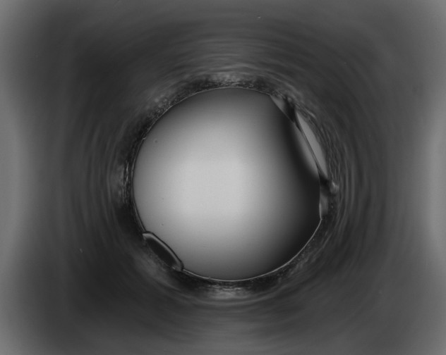 X0000083590605200703021847