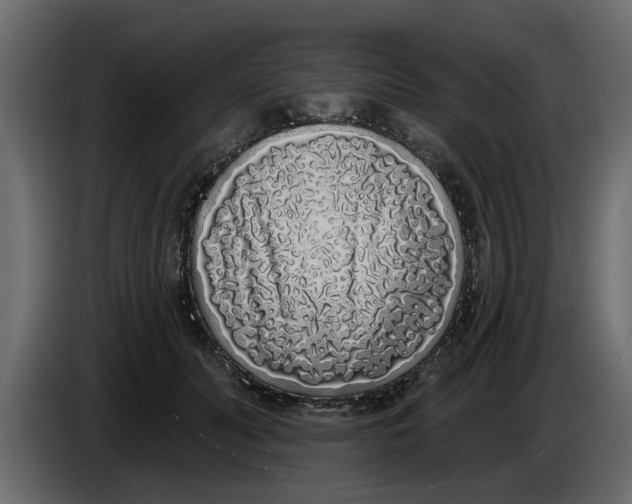 X0000083590606200703021847