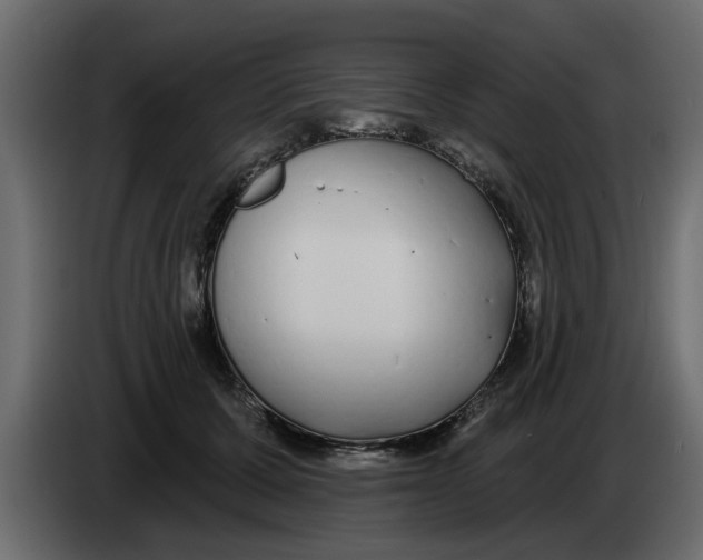 X0000083590607200703021847
