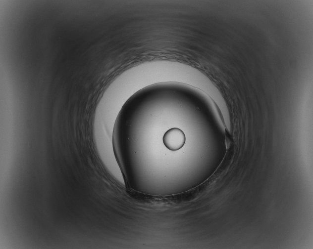 X0000083590608200703021847