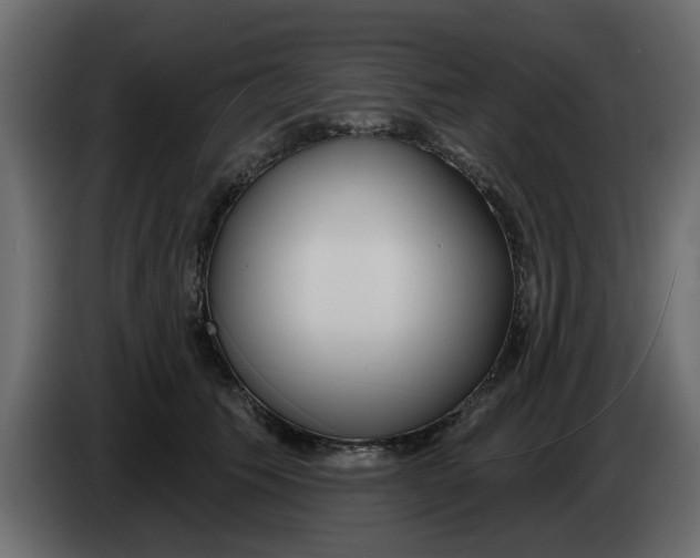 X0000083590609200703021847