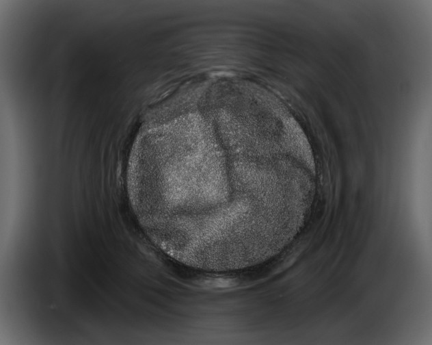 X0000083590610200703021847