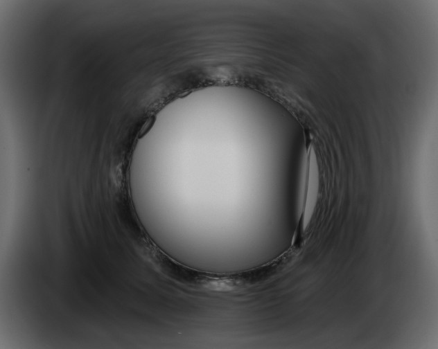 X0000083590611200703021847