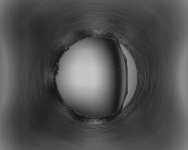 X0000083590613200703021847