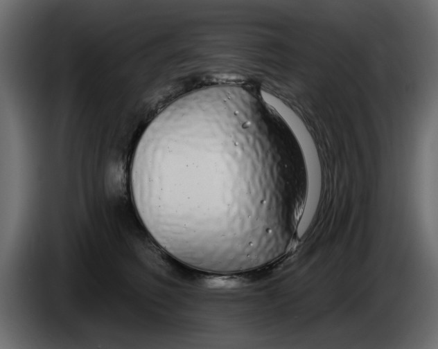 X0000083590614200703021847