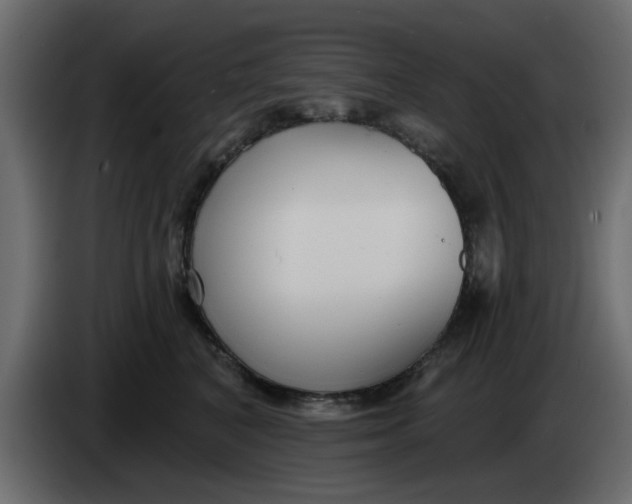 X0000083590616200703021847