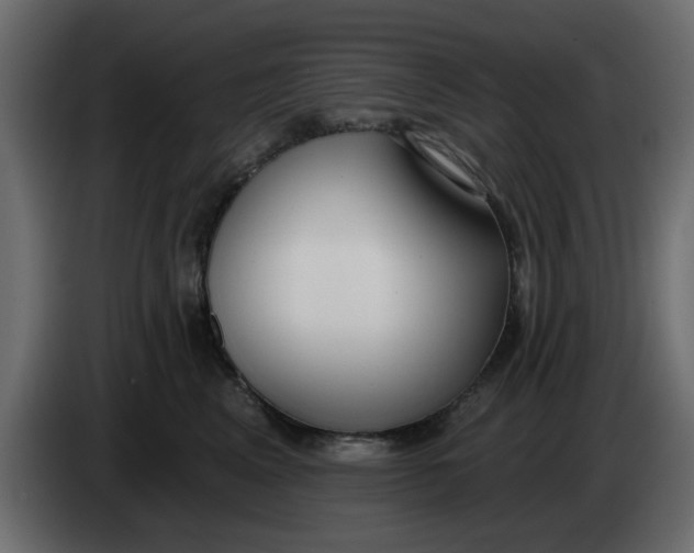 X0000083590617200703021847