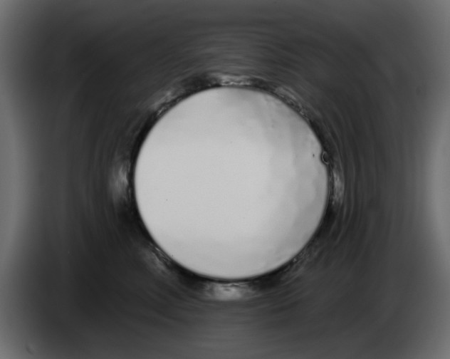 X0000083590618200703021847