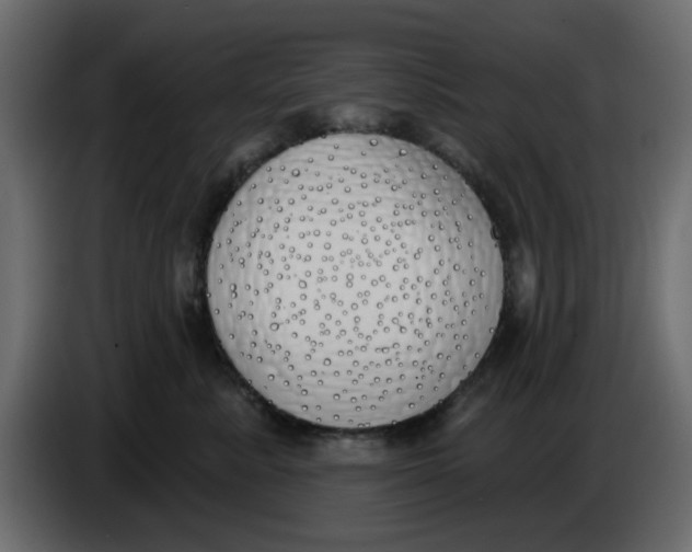 X0000083590619200703021847