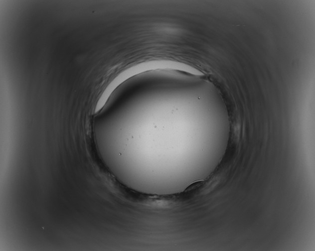 X0000083590620200703021847