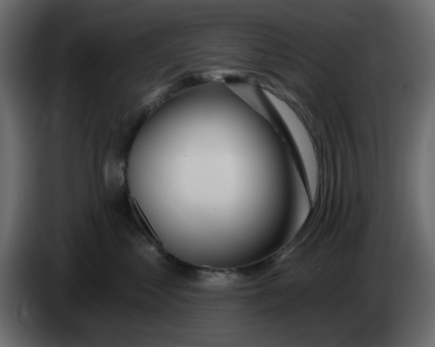 X0000083590621200703021847