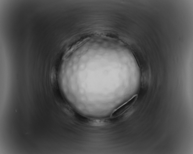 X0000083590623200703021847