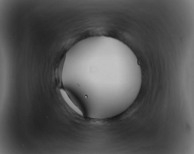 X0000083590624200703021847