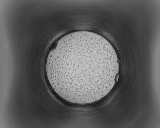 X0000083590625200703021846