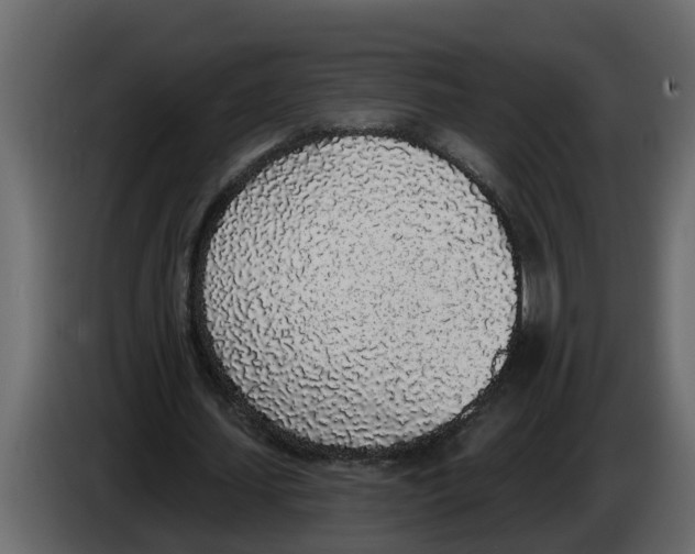 X0000083590627200703021846