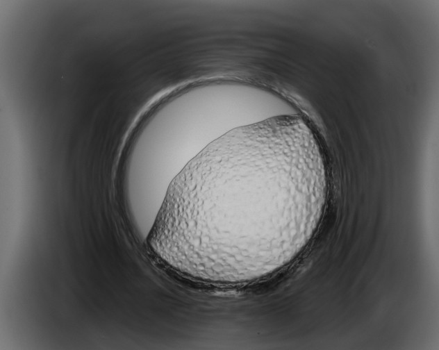 X0000083590628200703021846