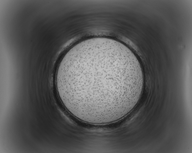 X0000083590629200703021846