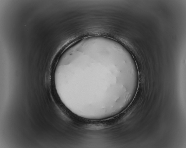 X0000083590630200703021846
