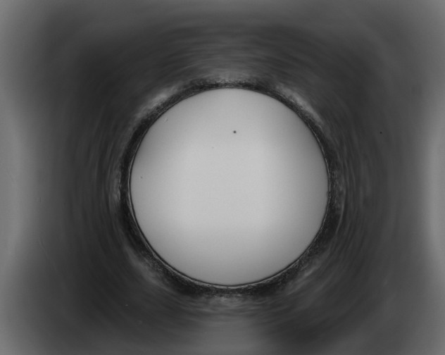 X0000083590631200703021846