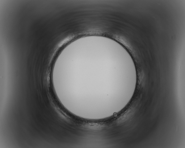 X0000083590632200703021846