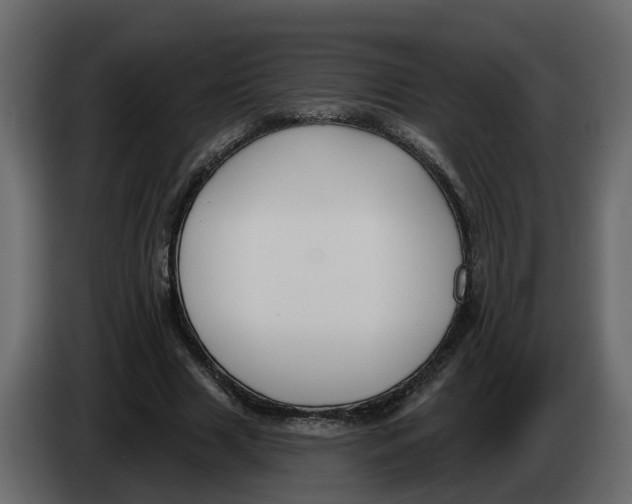 X0000083590633200703021846