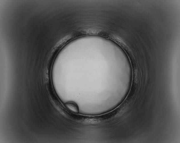 X0000083590634200703021846