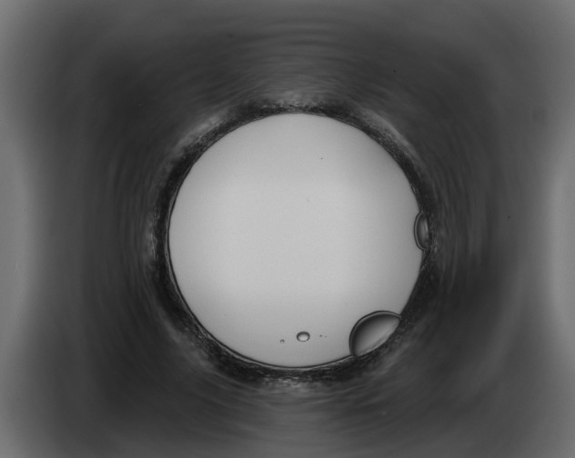 X0000083590635200703021846