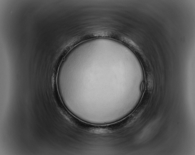 X0000083590637200703021846