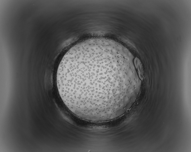 X0000083590638200703021846