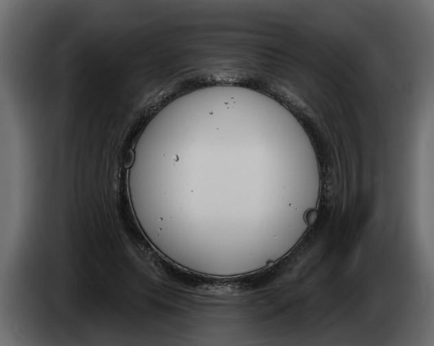 X0000083590639200703021846