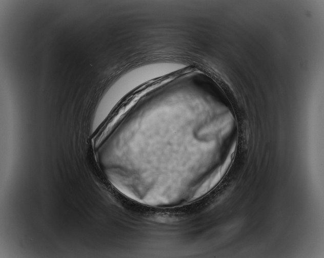 X0000083590641200703021846