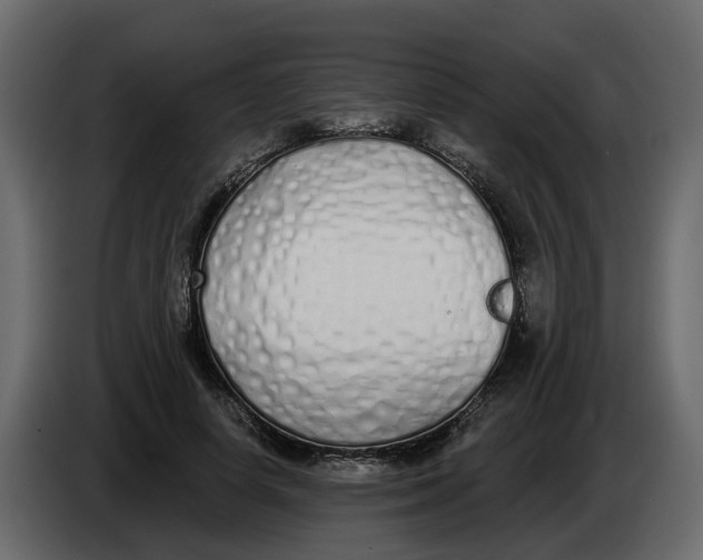 X0000083590642200703021846