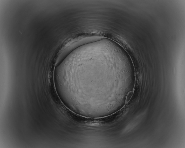 X0000083590643200703021846