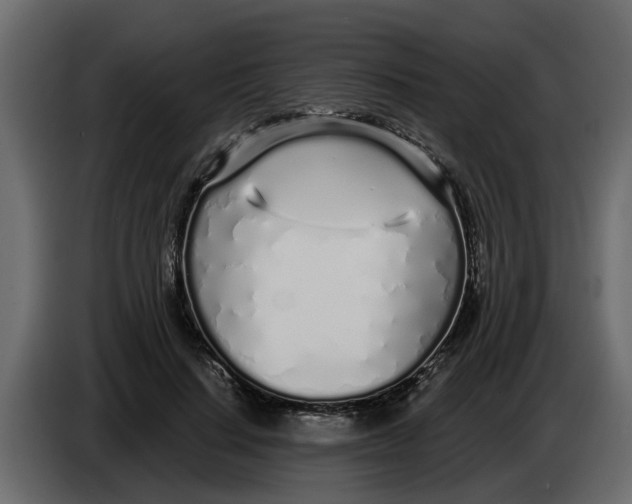 X0000083590644200703021846
