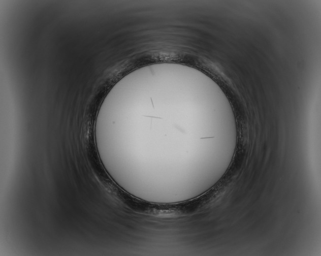 X0000083590645200703021846