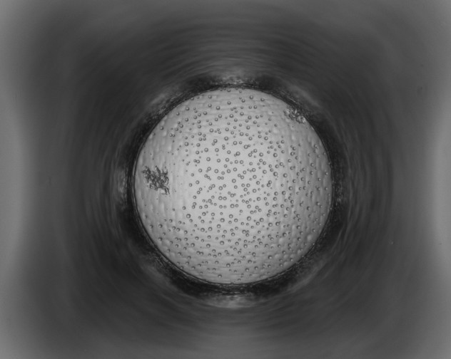 X0000083590646200703021846