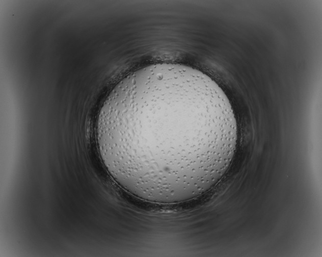X0000083590647200703021846