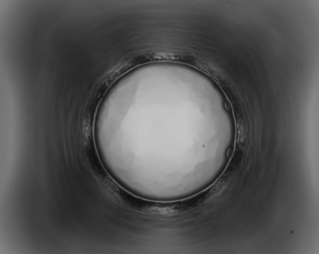 X0000083590648200703021846